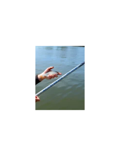 CRESTA HENGEL IDENTITY ACCELERATE WHIP 5M -Fishing Gear Verkoop cresta hengel identity accelerate whip 5m 3