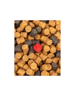 FJUKA BAIT PELLET 2IN1 FATBOY 10MM RED FJUKA BAIT -Fishing Gear Verkoop fjuka bait pellet 2in1 fatboy 10mm red fjuka bait 1